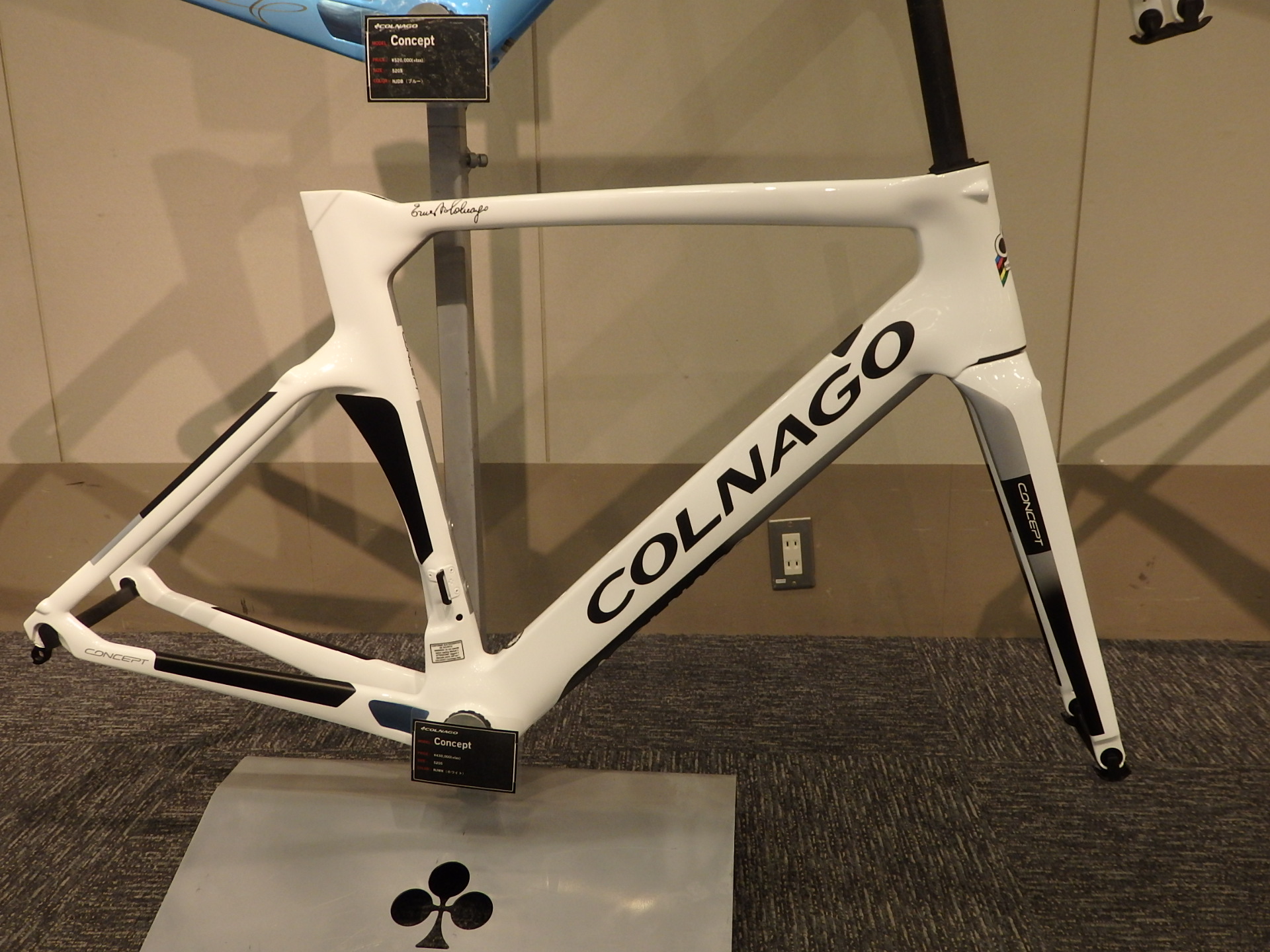 COLNAGO (コルナゴ) CONCEPT (コンセプト) フレームセット 2019