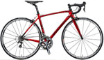 2013N ANCHOR CARBON ROAD RL 8 ELITE AJ[ J[{[hoCN  A[GGCg G[g