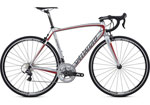 2013N SPECIALIZED TARMAC SL4 EXPERT X؃VCYh ^[}bN GXGtH[ GLXp[g