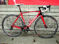 2013N SPECIALIZED TARMAC SPORT XyVCYh ^[}bN X|[c