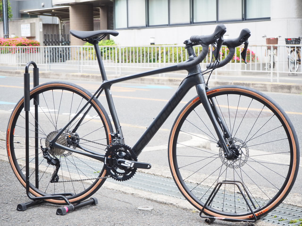 synapse se 2019