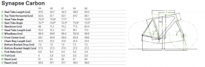 synapsecarbon_geo