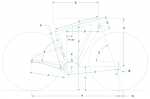 topstoneneocarbon_geo1