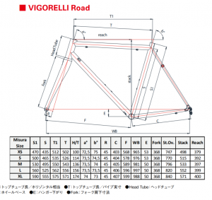 vigorelli_geo