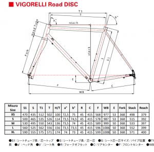 vigorellidisc_geo