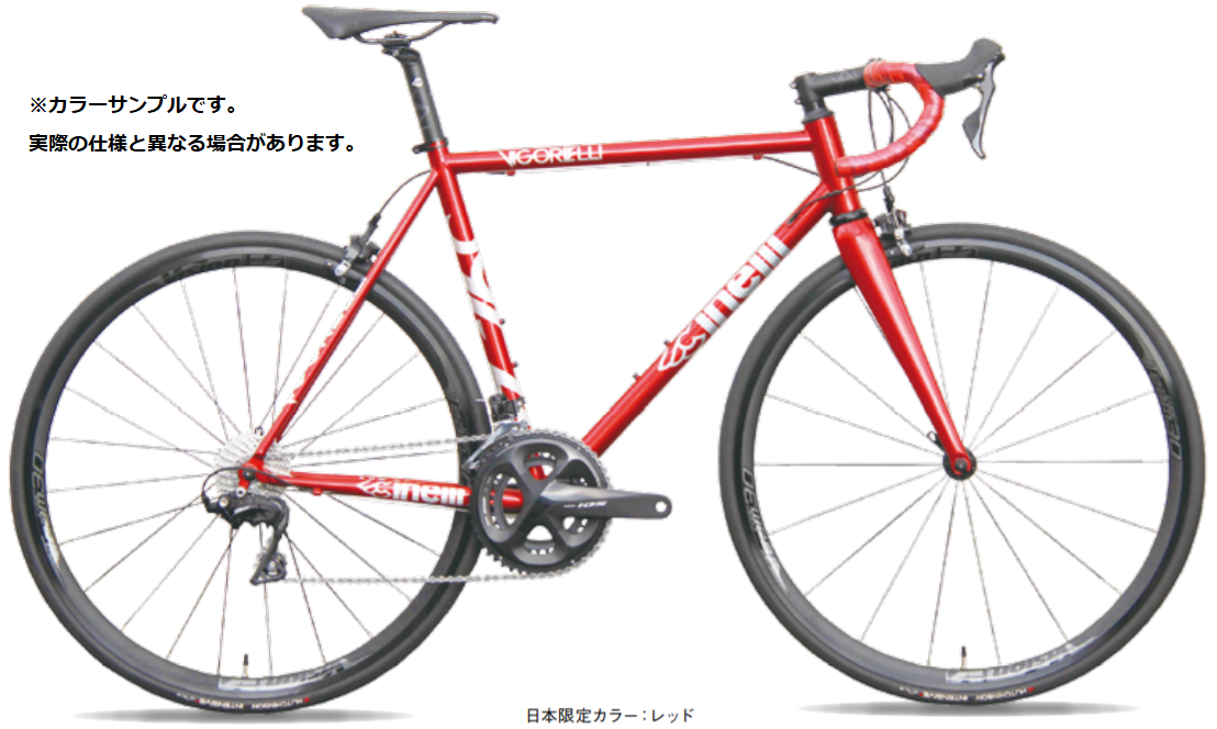 VIGORELLI ROAD APEX1完成車