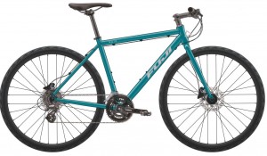 FUJI RAIZ DISC 完成車 2022