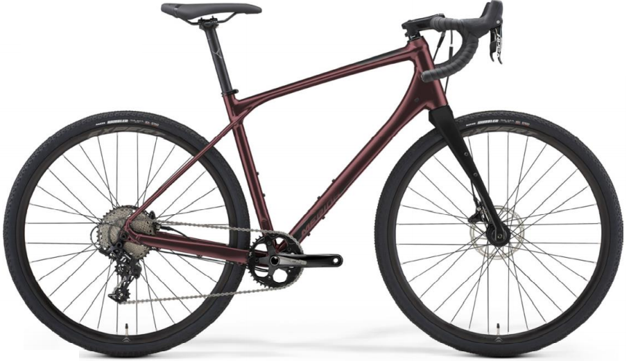 SILEX 100 CLARIS完成車