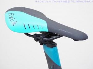 P4273813