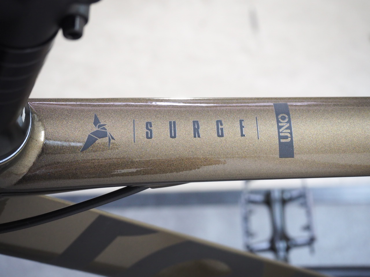 TERN ( ターン ) ミニベロ（小径車） SURGE 限定カラー