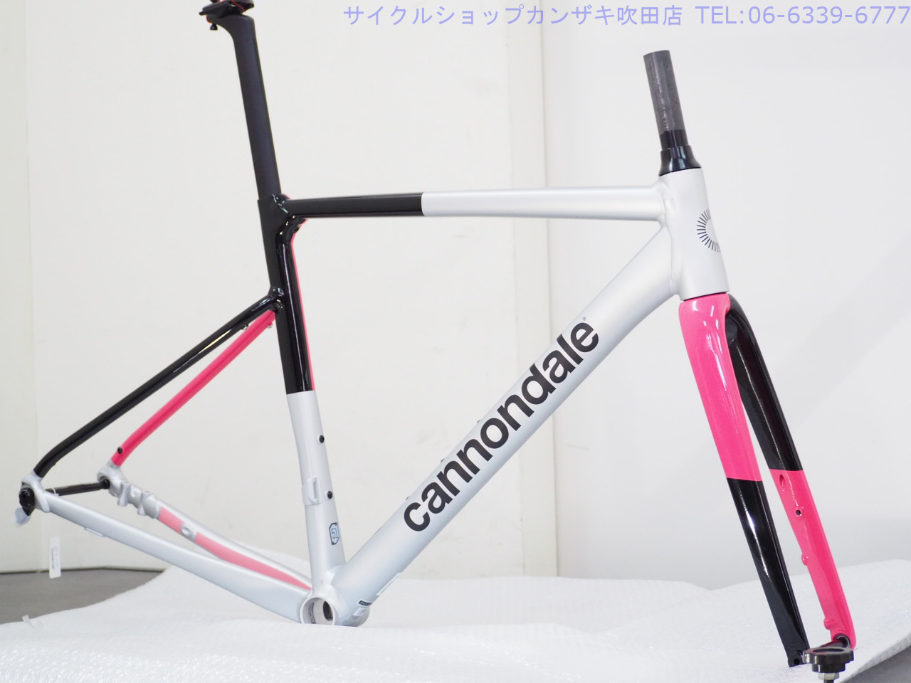 CAAD13 DISC フレームセット