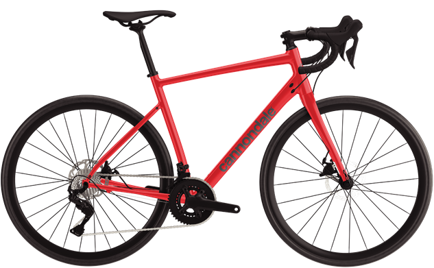 SYNAPSE 1 105完成車 2023