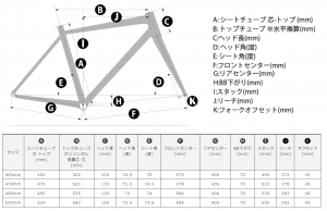 strauss2_geo