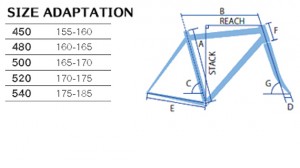 fenice_geo2