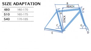 mitoclaris_geo2