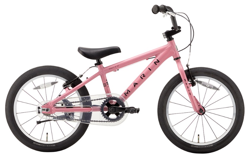 DONKY JR 18完成車