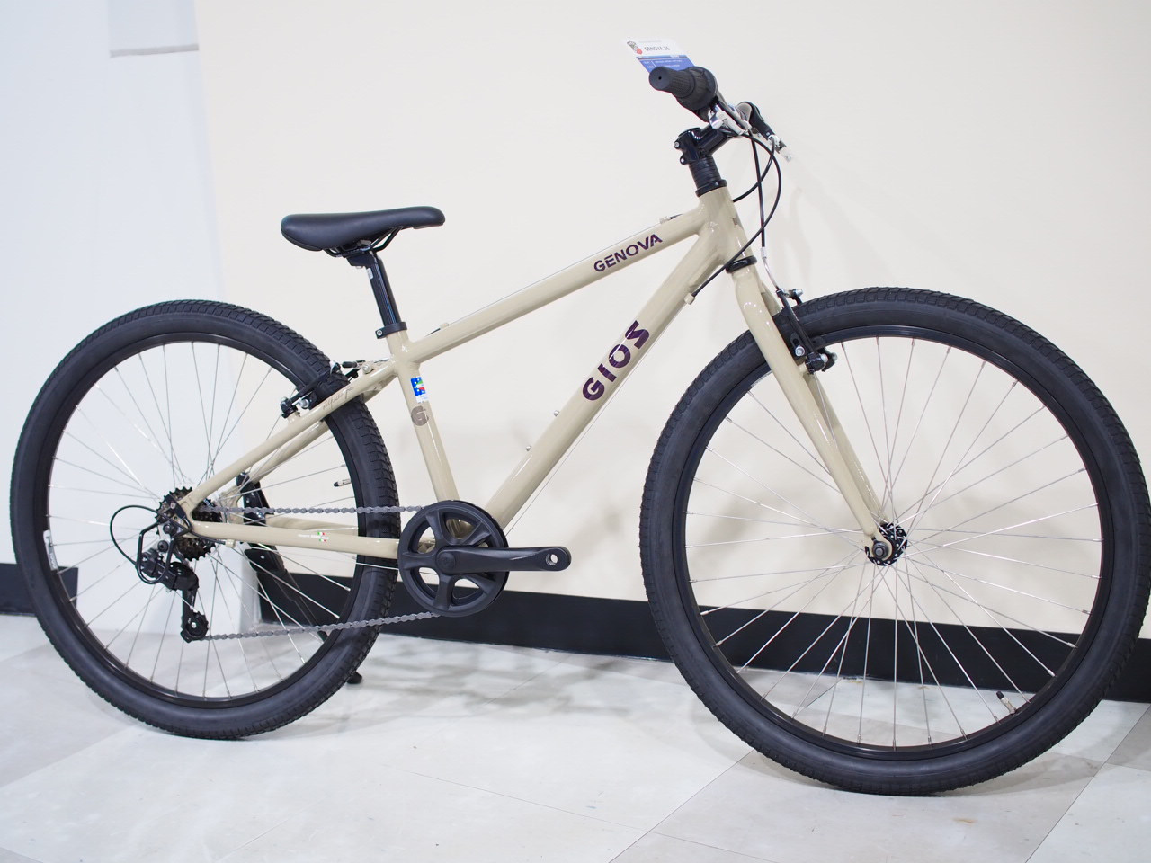 GENOVA 26 完成車 2026