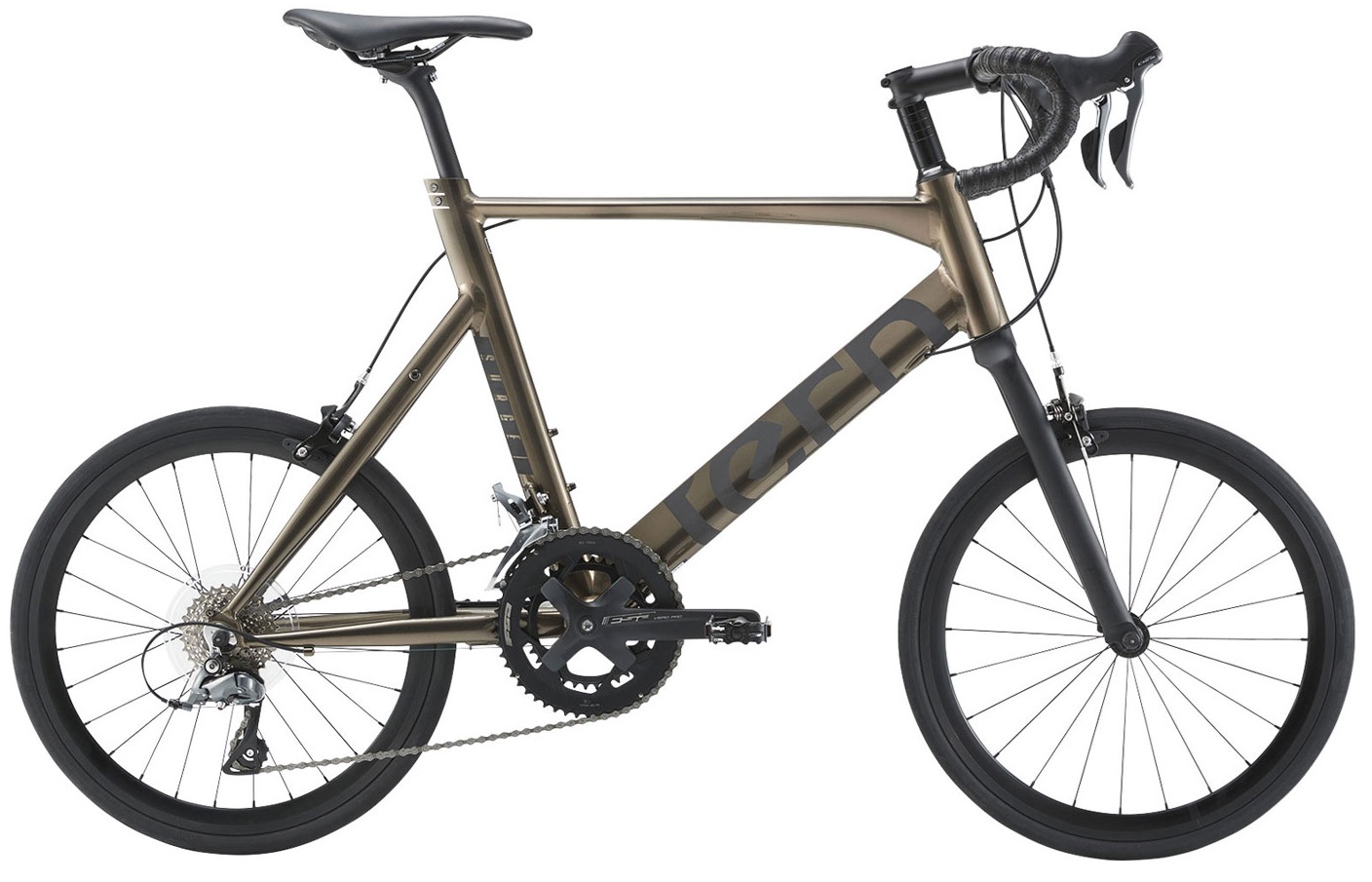 SURGE 完成車 限定カラー 2026