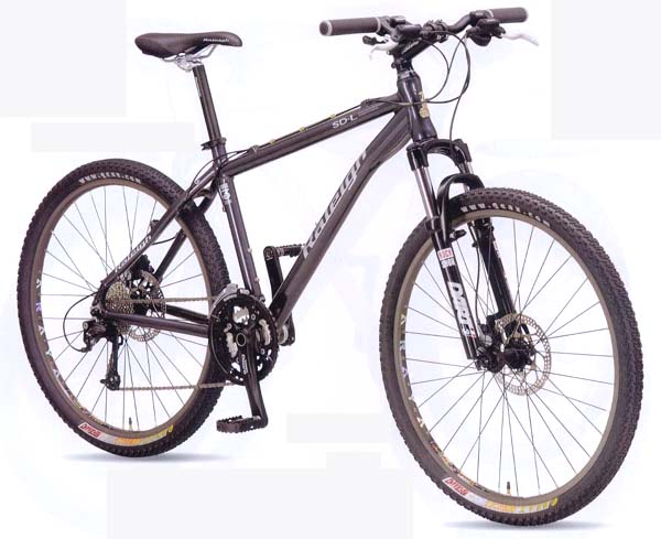 2008年 RALEIGH SHERWOOD DL マウンテンバイク ラレー シャーウッド 大阪