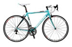 BIANCHI ROADBIKE 1885 Alu Carbon Campagnolo VelocerAL [hoCN 1885 Jpj[ x[`F