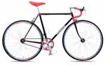 PANASONIC ROADBIKE FPC 13 (pi\jbN sXgoCN Gts[V[T[eB[)