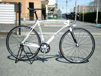  COLNAGO(RiS) NXoCN tH[X