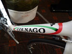 COLNAGO ACE 105 ホワイト ダウンチューブ