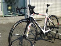 PINARELLO FP QUATTRO(ピナレロ エフピークアトロ) 2013年モデル ホワイトレッド 前