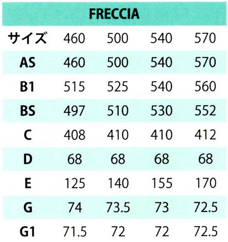 FRECCIA ジオメトリ