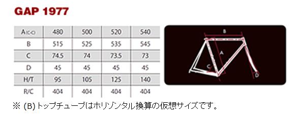 GAP1977 ジオメトリ