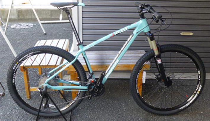 BIANCHI JAB27.1(rAL Wu27.1)