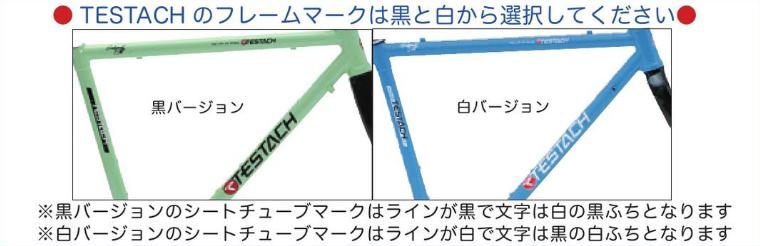 テスタッチ カラー